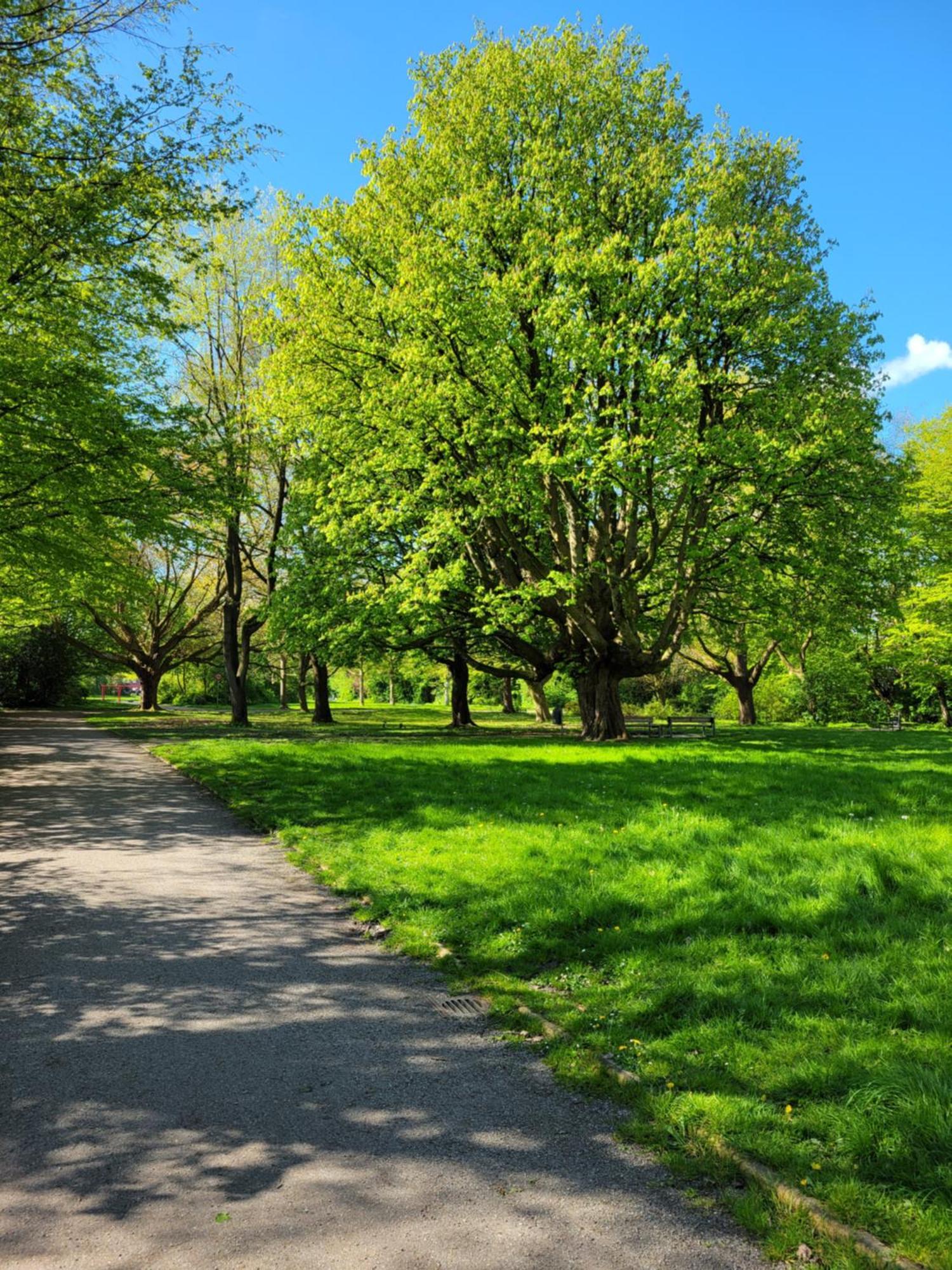 Ferienwohnungen Am Park 빌헬름스하펜 외부 사진