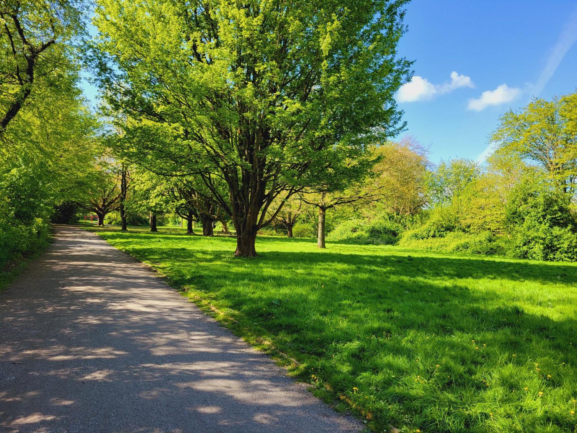 Ferienwohnungen Am Park 빌헬름스하펜 외부 사진