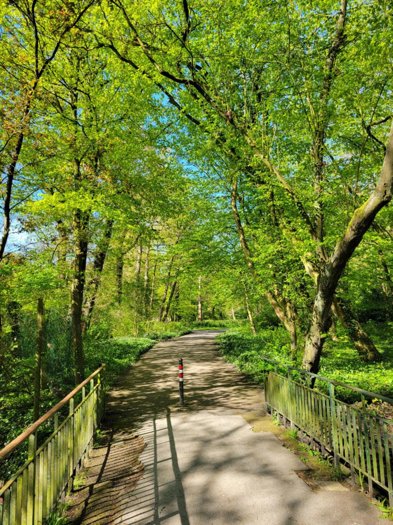 Ferienwohnungen Am Park 빌헬름스하펜 외부 사진