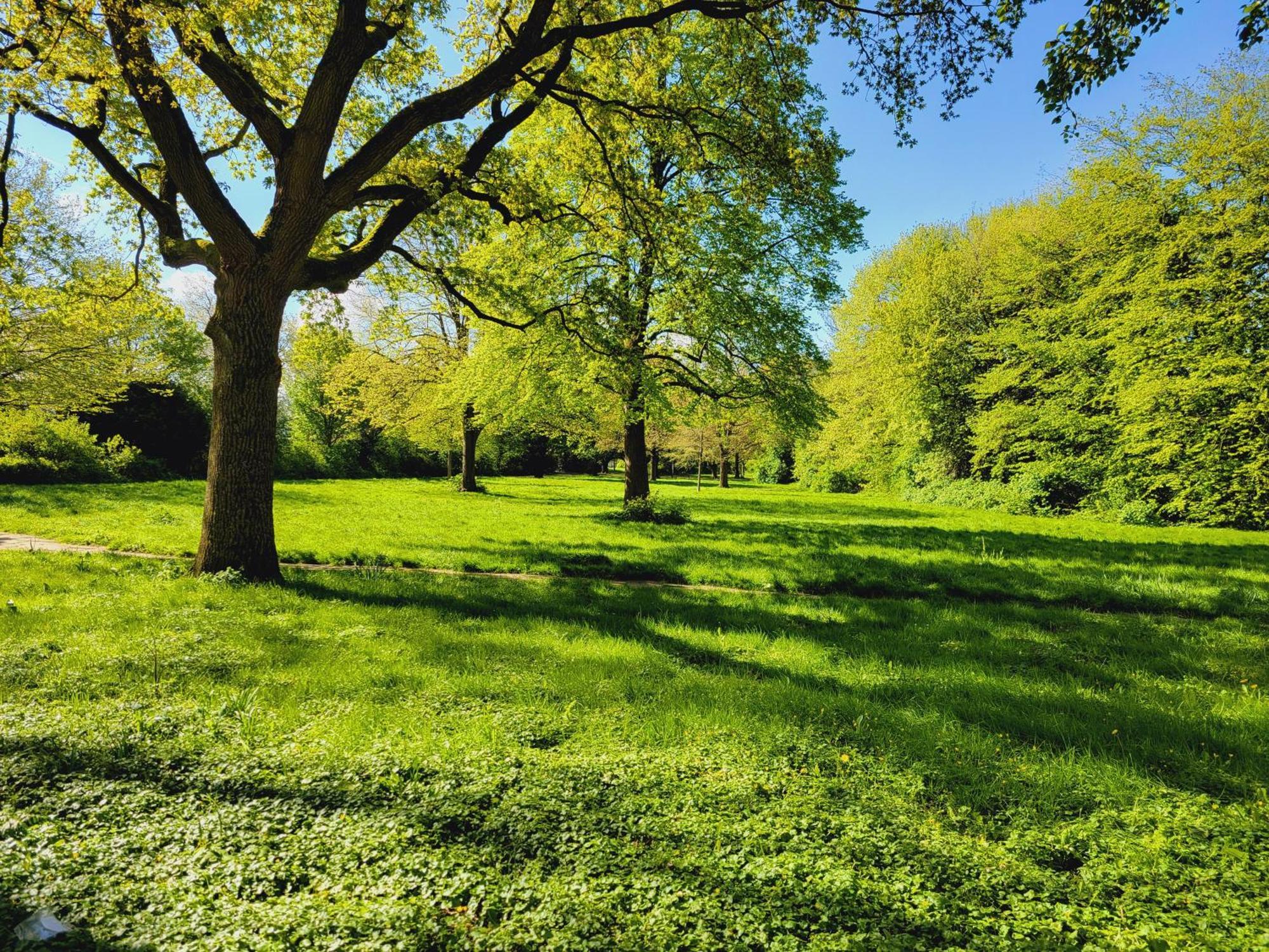 Ferienwohnungen Am Park 빌헬름스하펜 외부 사진